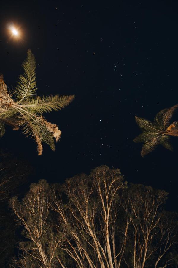 Alto Paraíso de Goiás Hotel Vegano Bona Espero מראה חיצוני תמונה